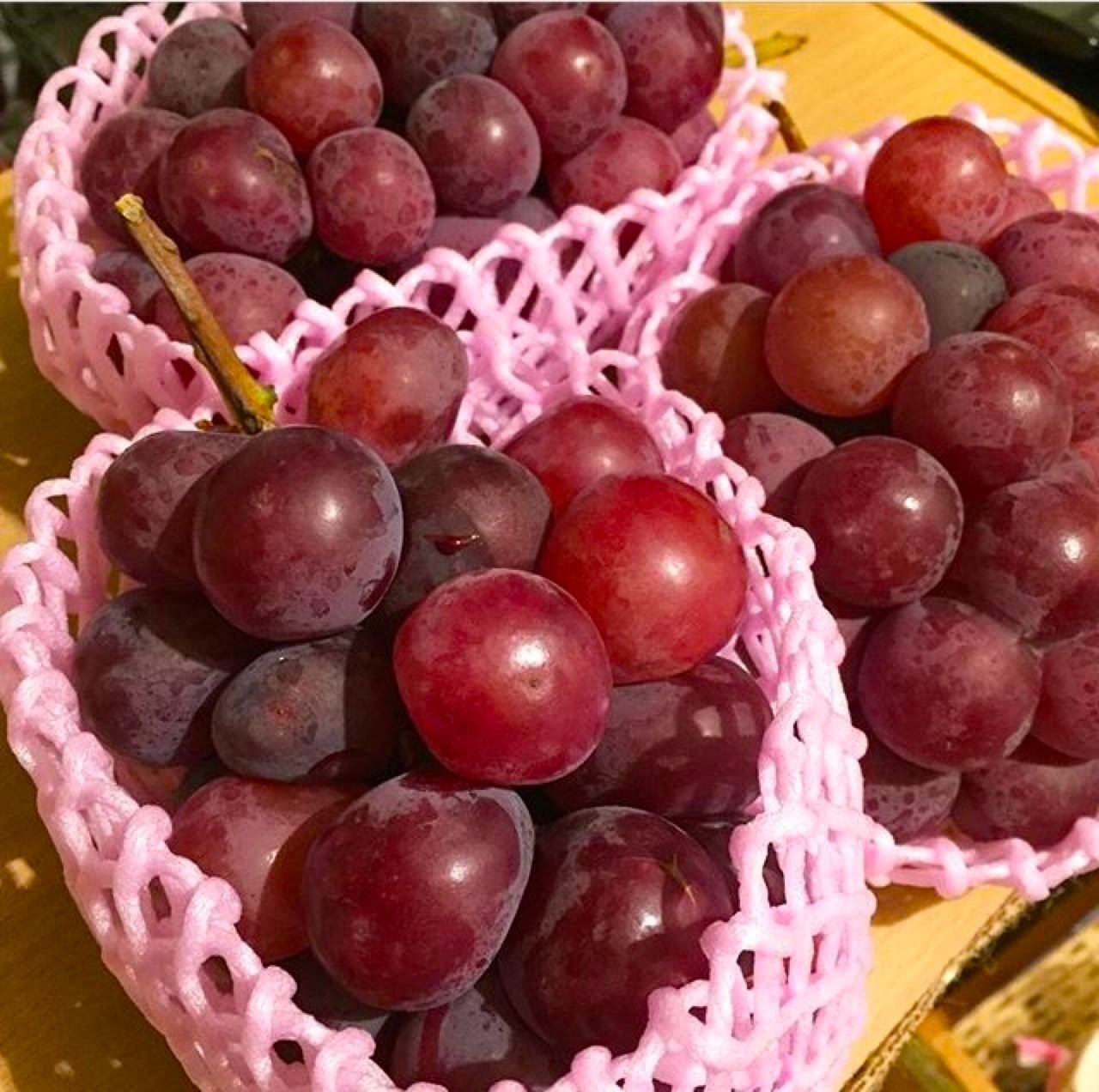 Archillect ID 396730