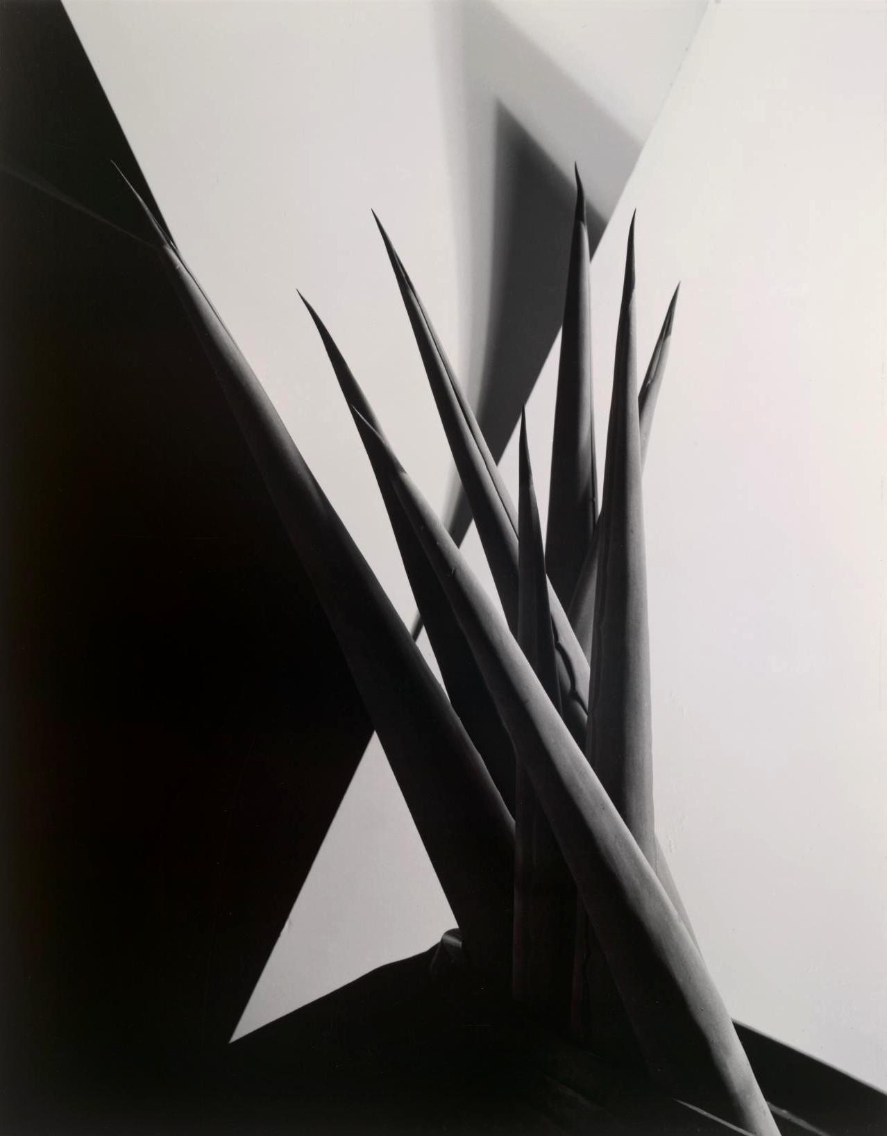 Archillect ID 396748