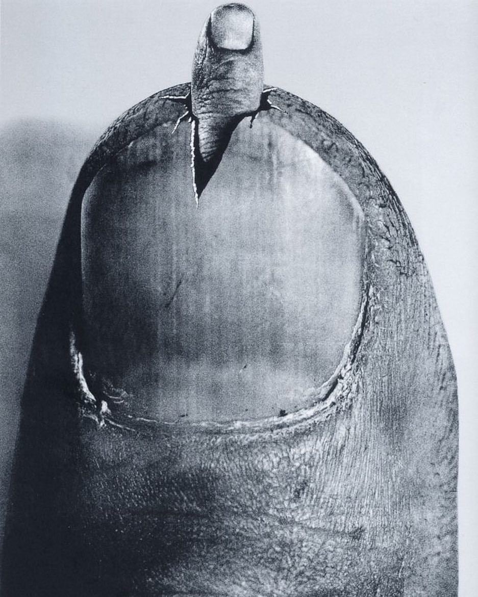 Archillect ID 396793