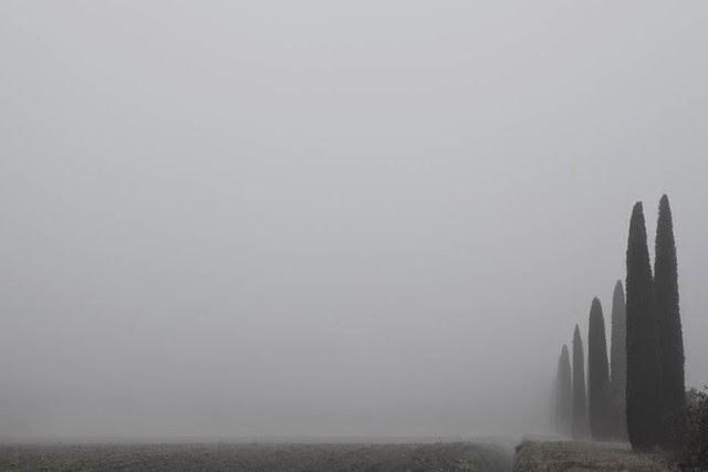 Archillect ID 396816