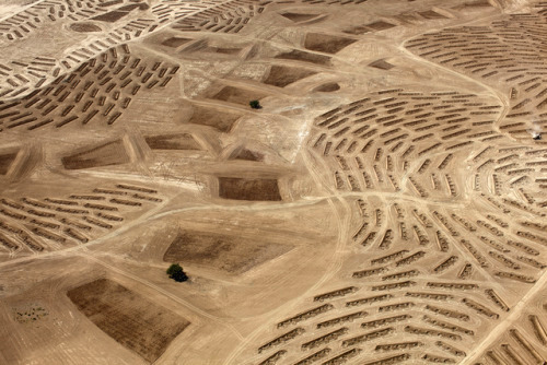 Archillect ID 396862