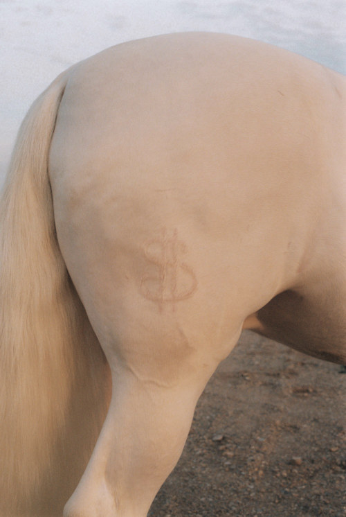 Archillect ID 396873