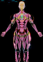 Archillect ID 396880