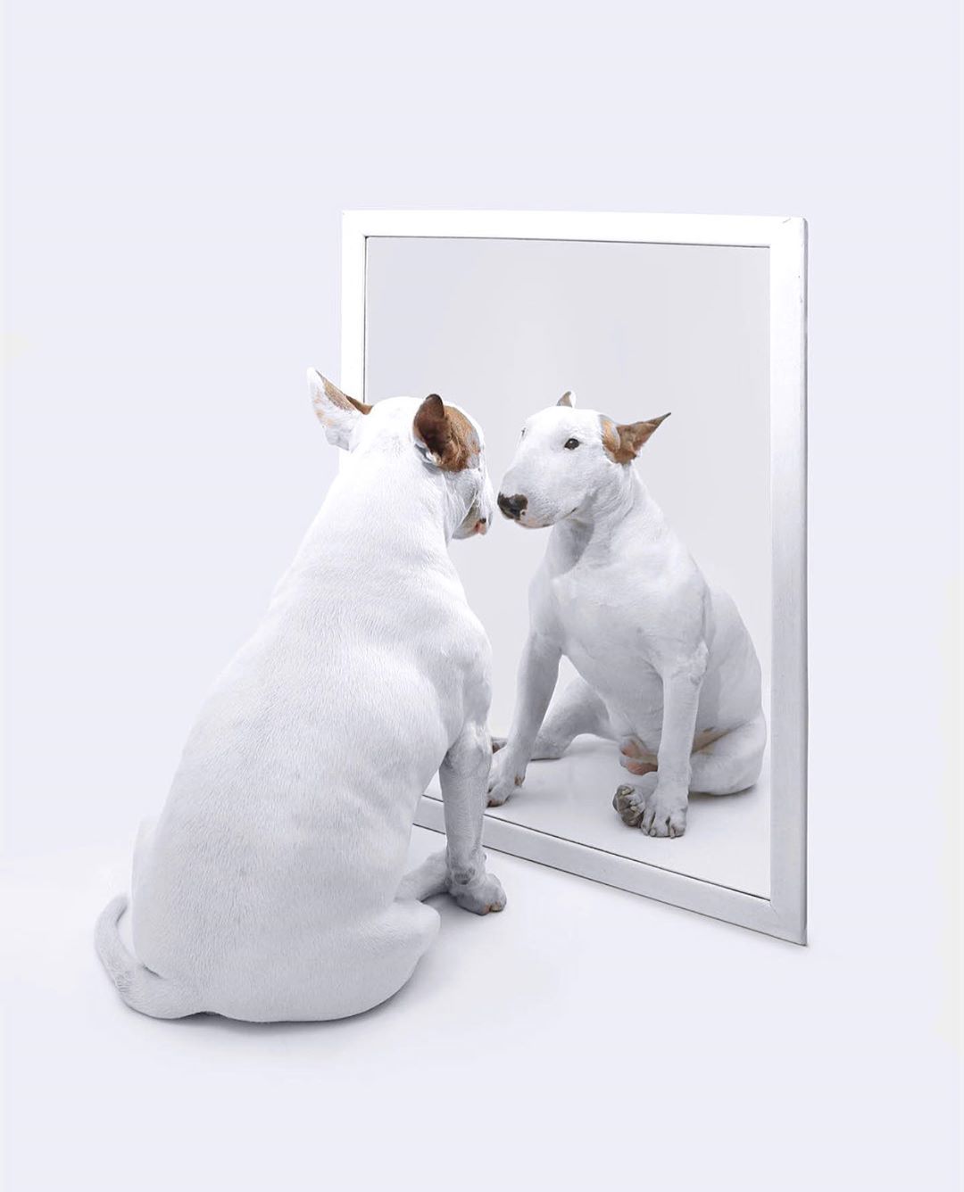 Archillect ID 396939