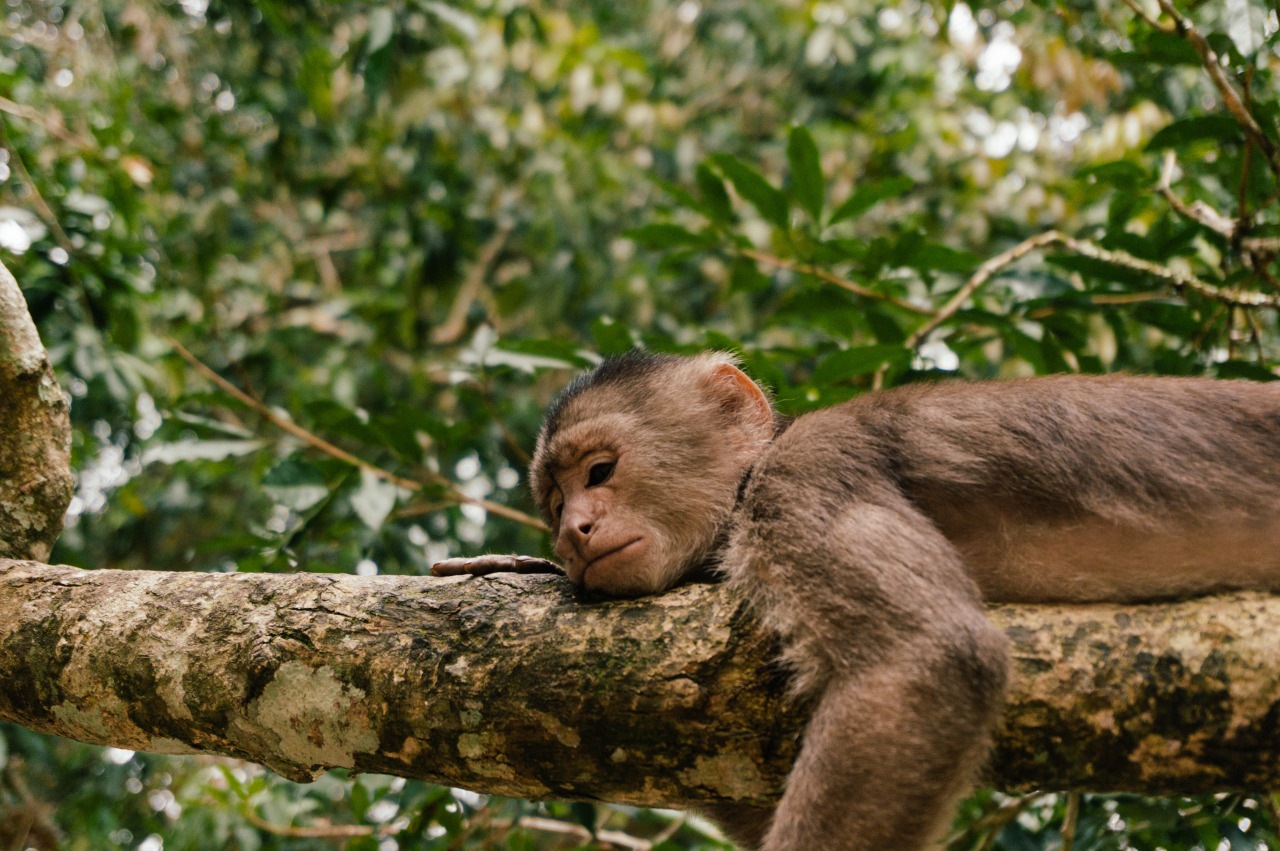 Archillect ID 397010