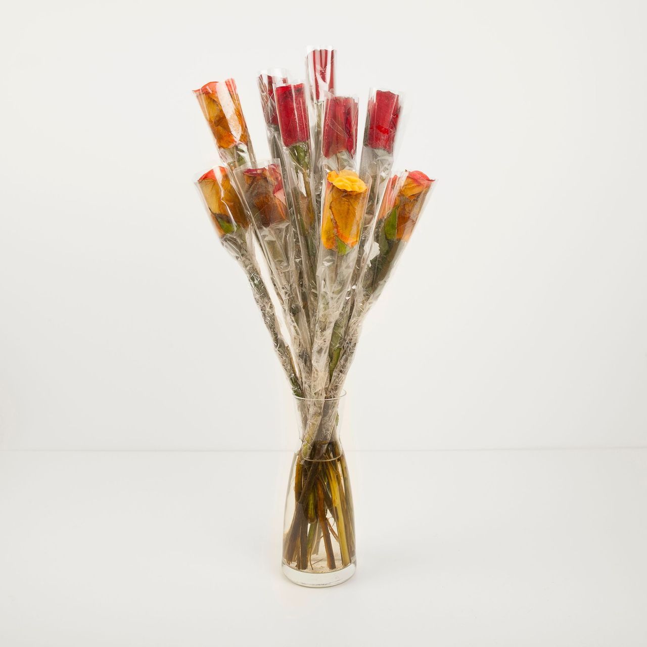 Archillect ID 397016