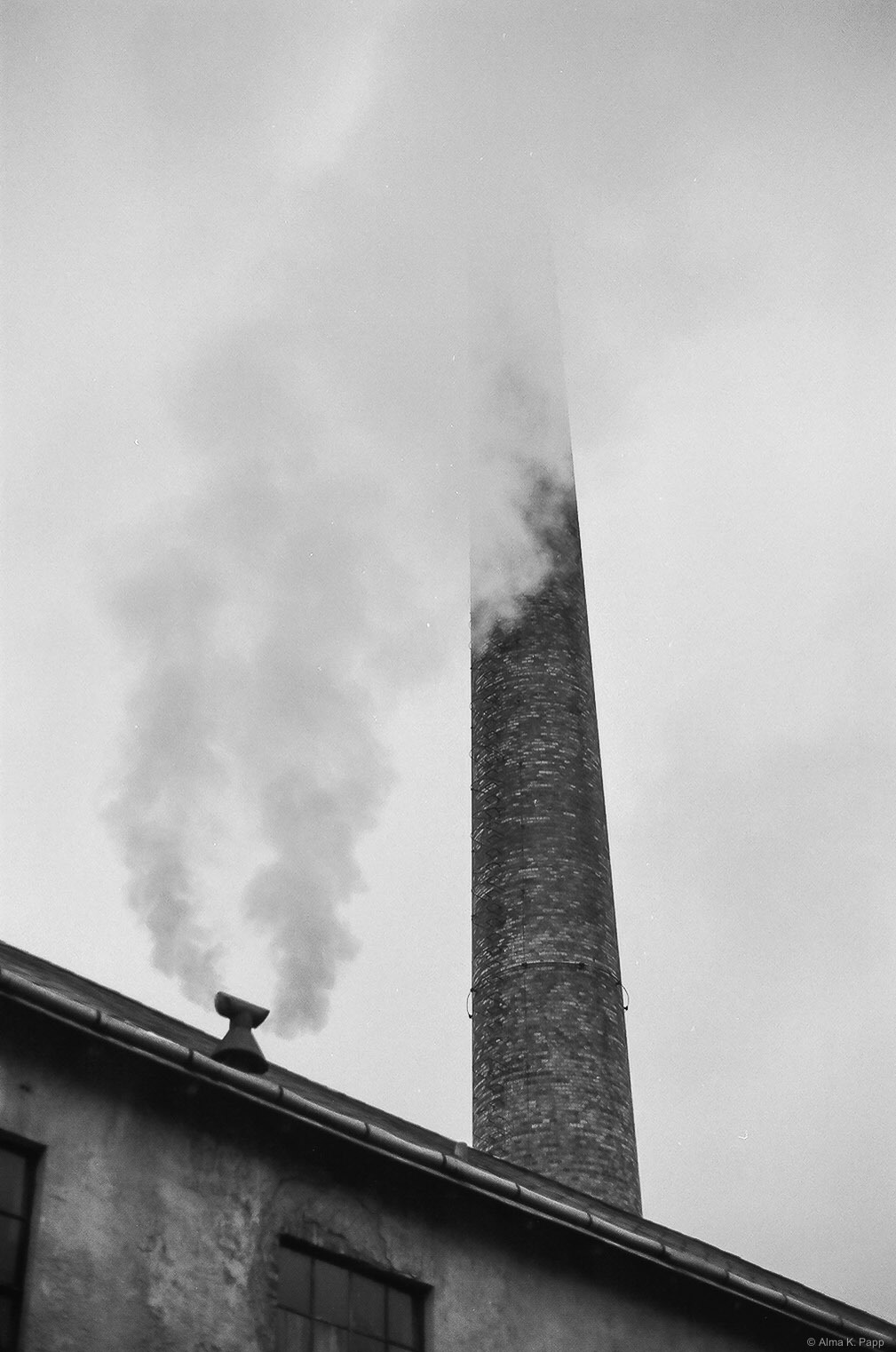 Archillect ID 397026