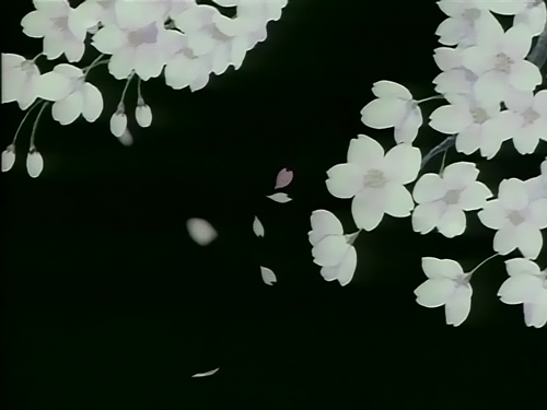 Archillect ID 397131