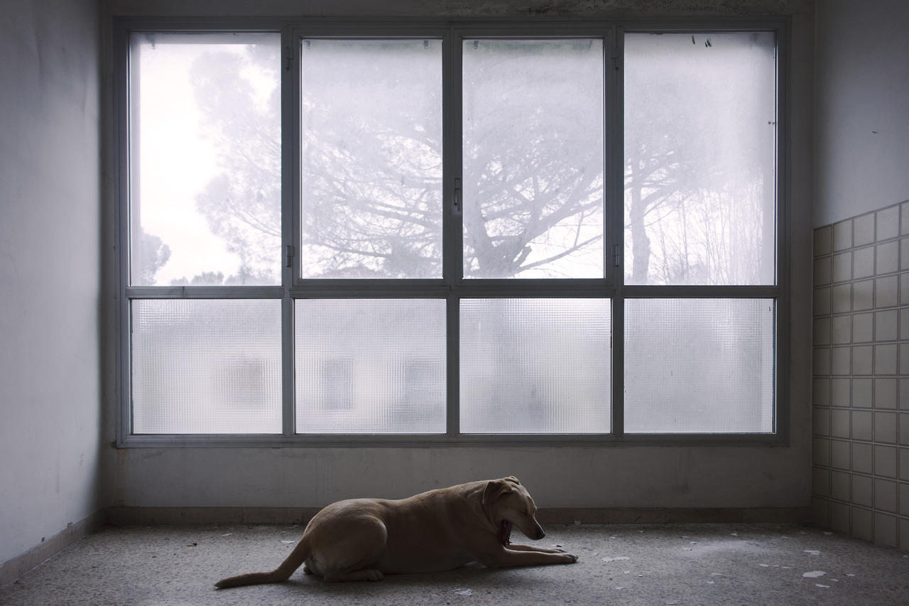 Archillect ID 397138