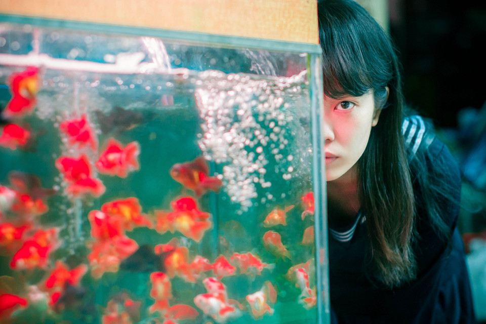 Archillect ID 397169