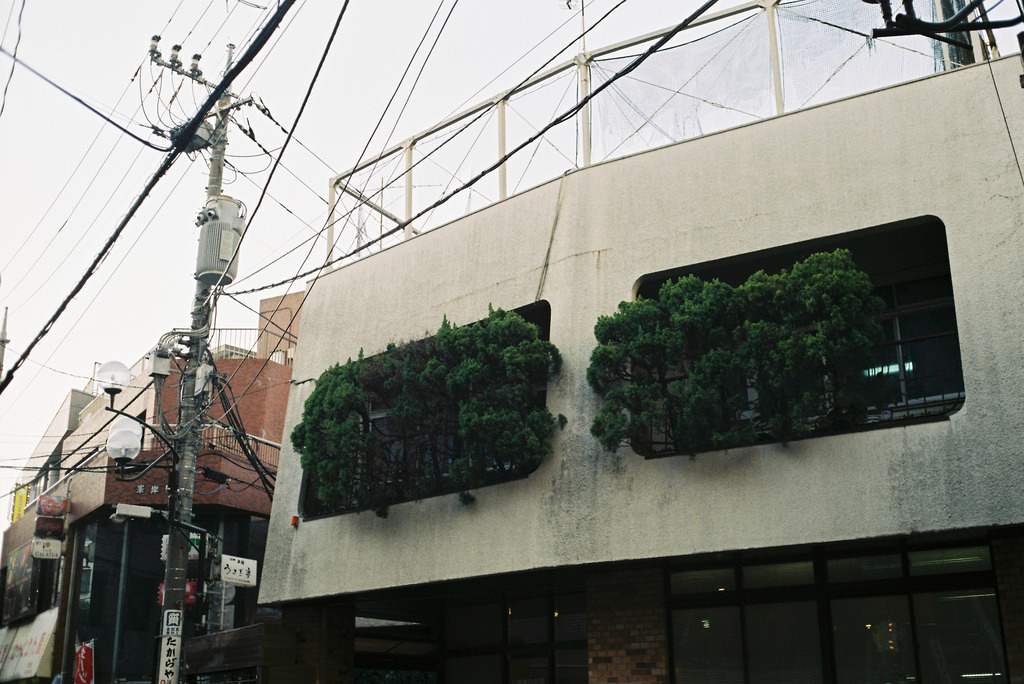 Archillect ID 397173