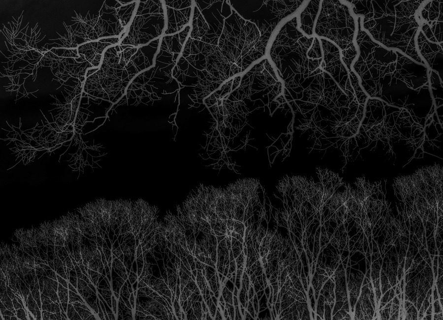 Archillect ID 397182