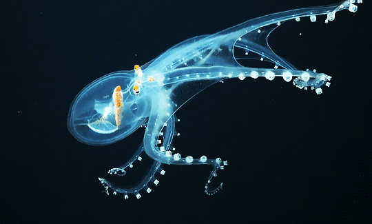 Archillect ID 397203