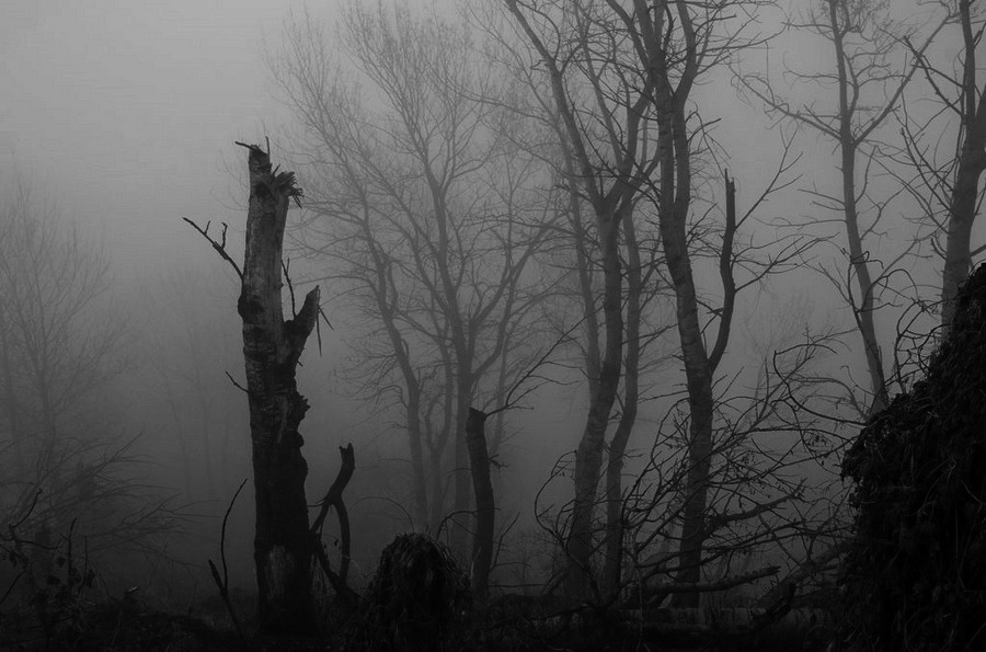 Archillect ID 397319