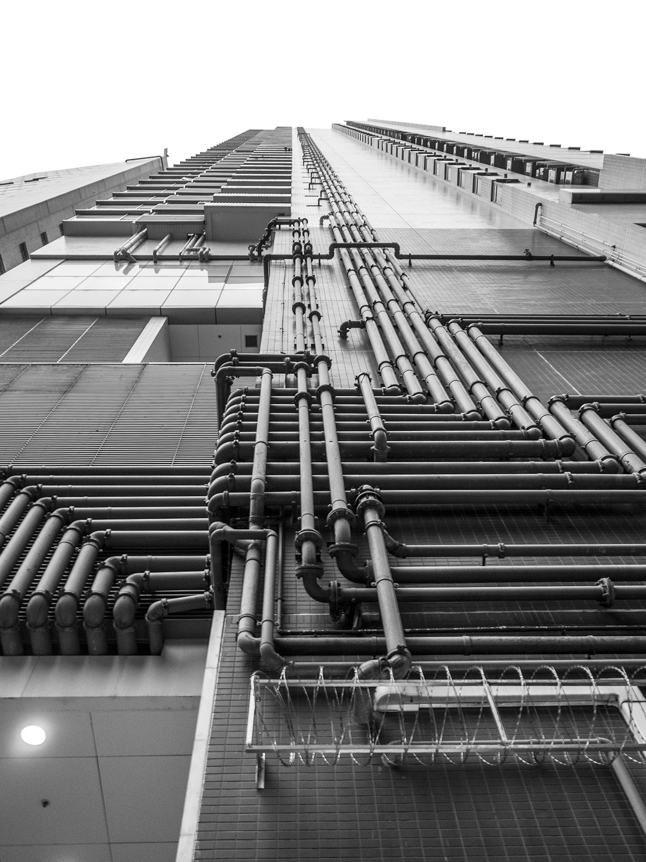 Archillect ID 397355