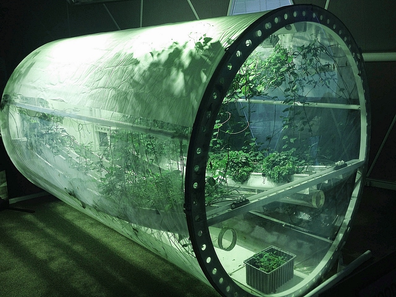 Archillect ID 397365