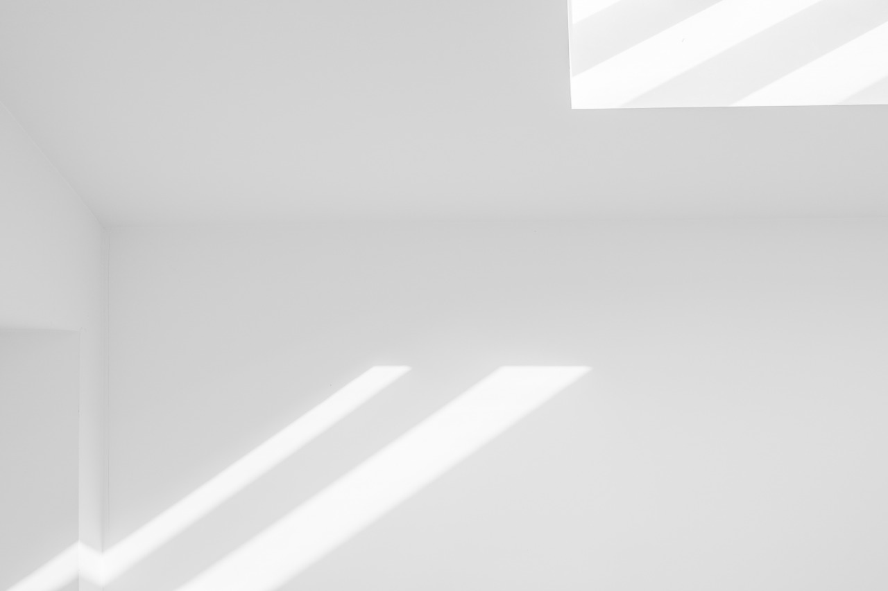 Archillect ID 397367