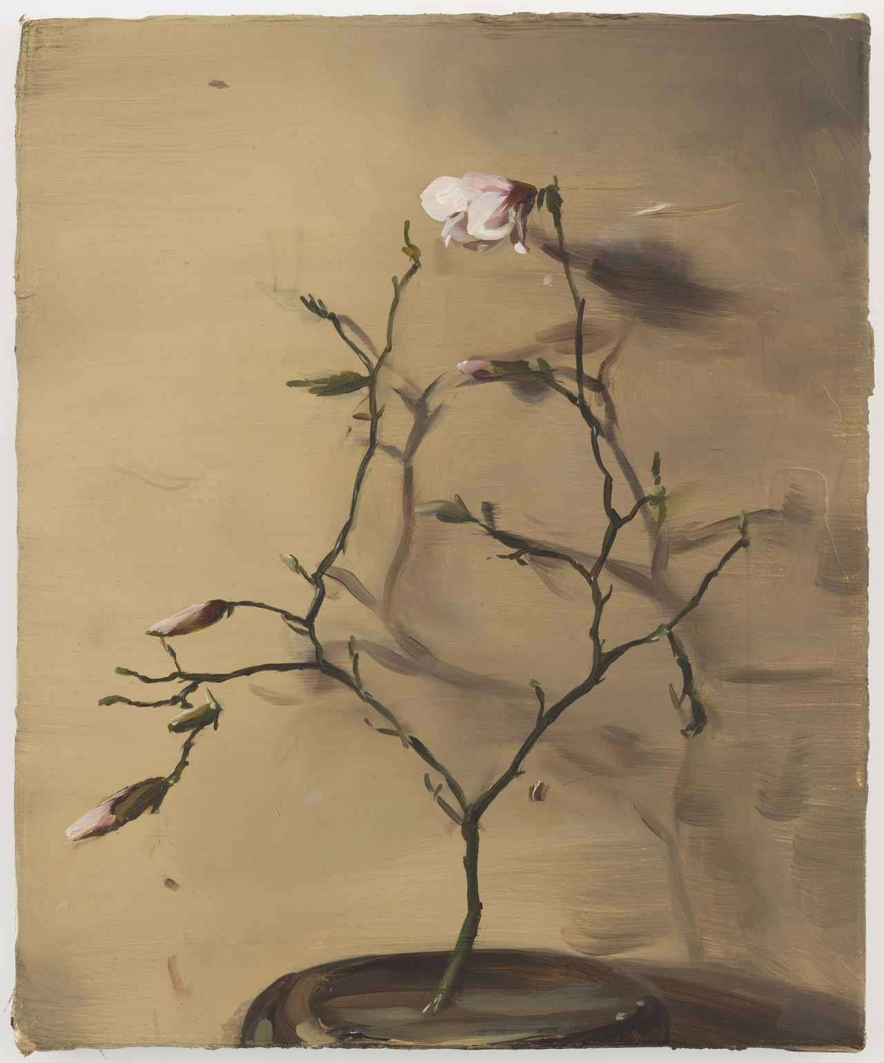 Archillect ID 397391