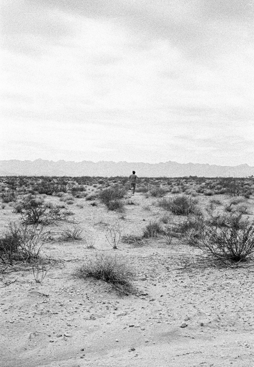 Archillect ID 397410