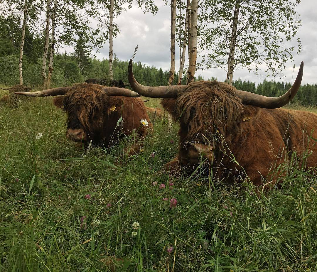 Archillect ID 397430