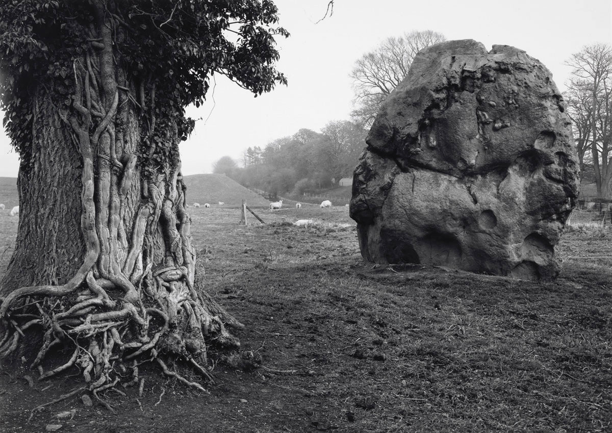 Archillect ID 397443