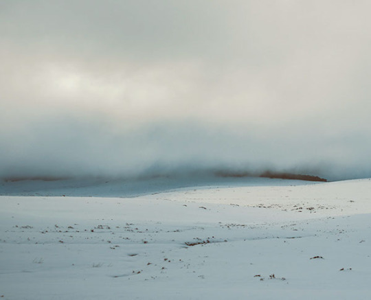 Archillect ID 397449