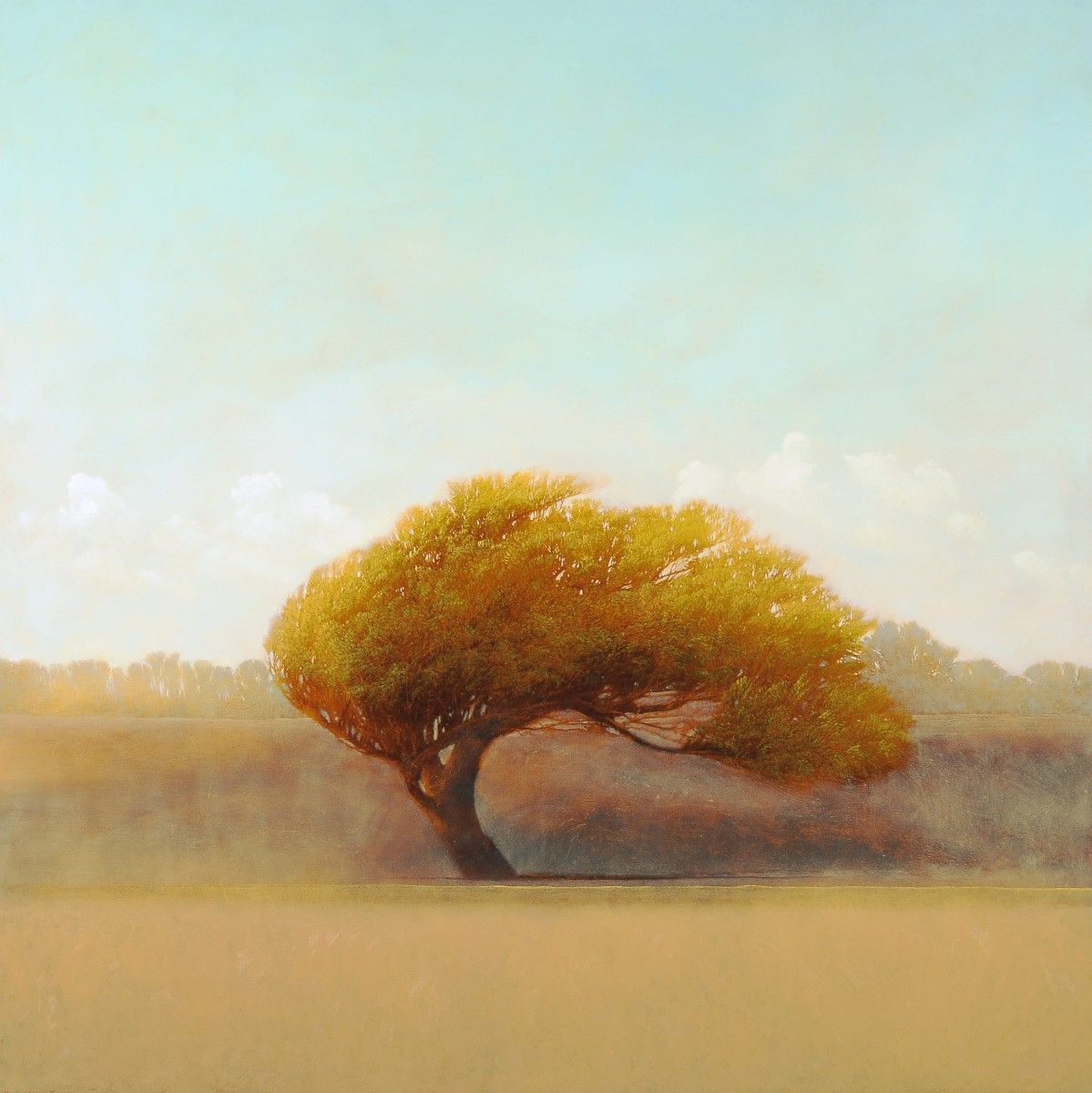 Archillect ID 397467