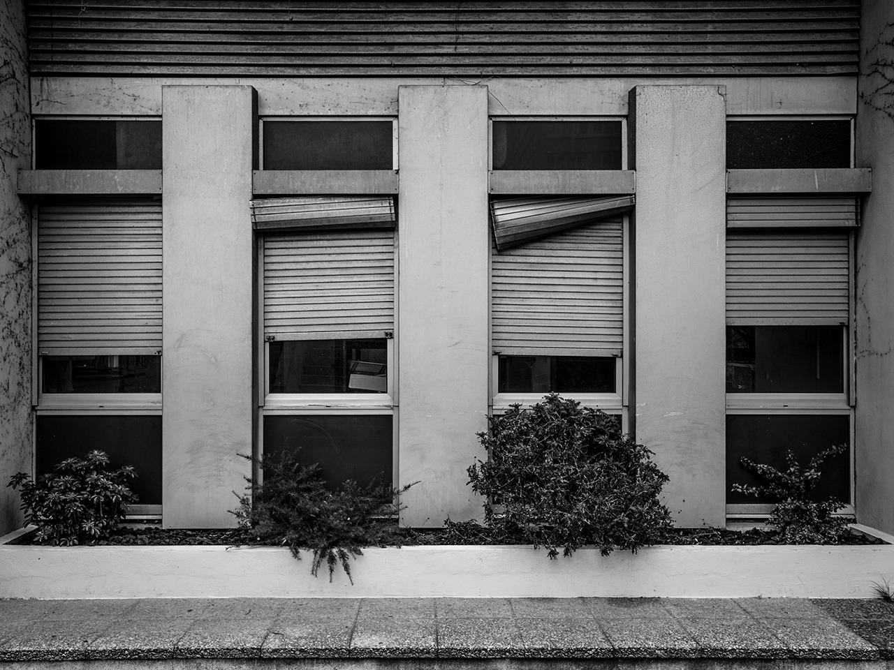 Archillect ID 397494