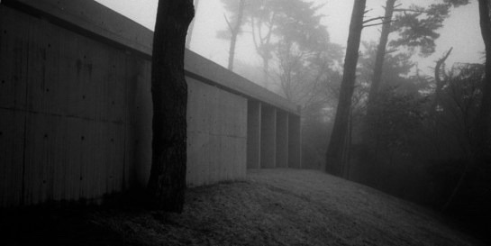 Archillect ID 397511