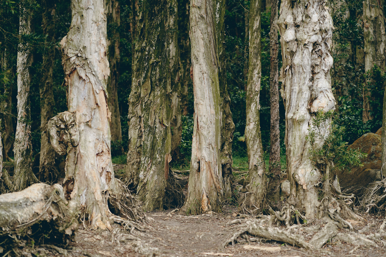 Archillect ID 397577