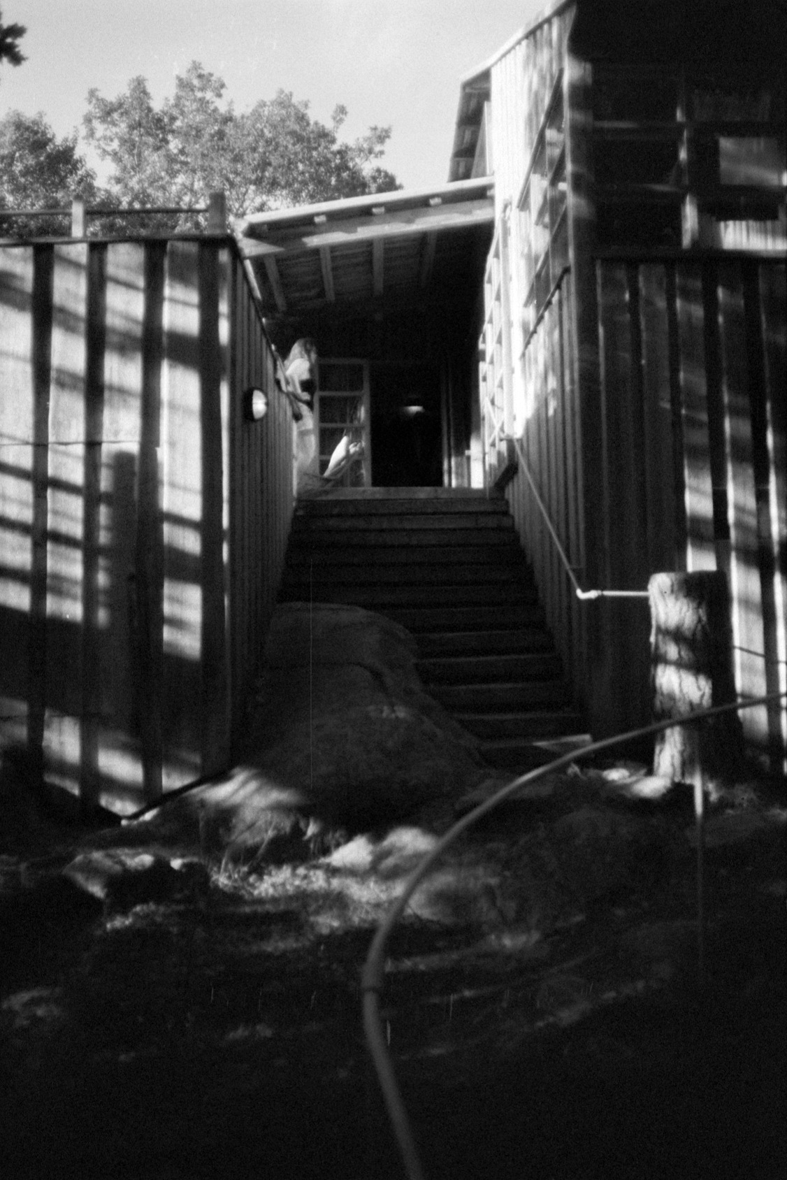 Archillect ID 397588