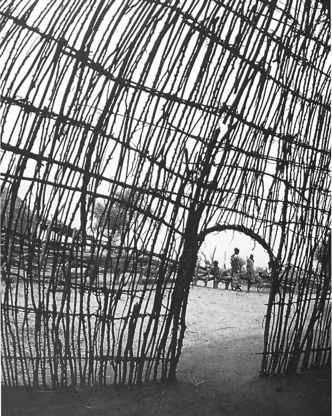 Archillect ID 397606