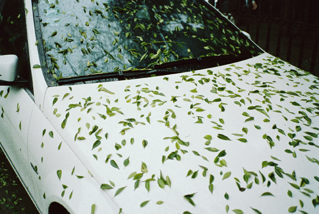 Archillect ID 397627