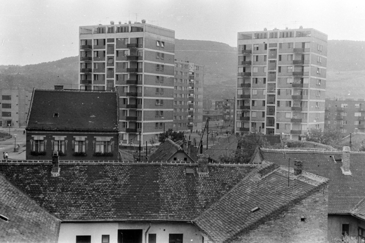 Archillect ID 397675