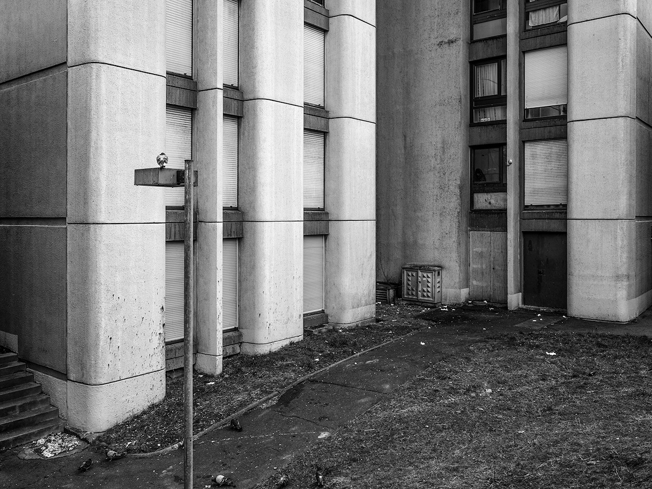 Archillect ID 397713