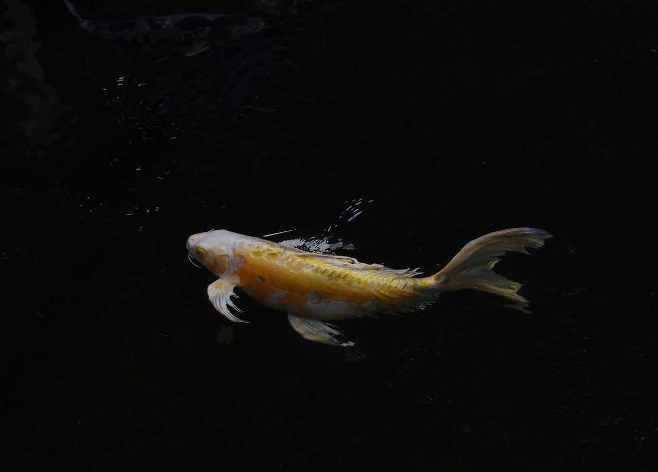 Archillect ID 397722