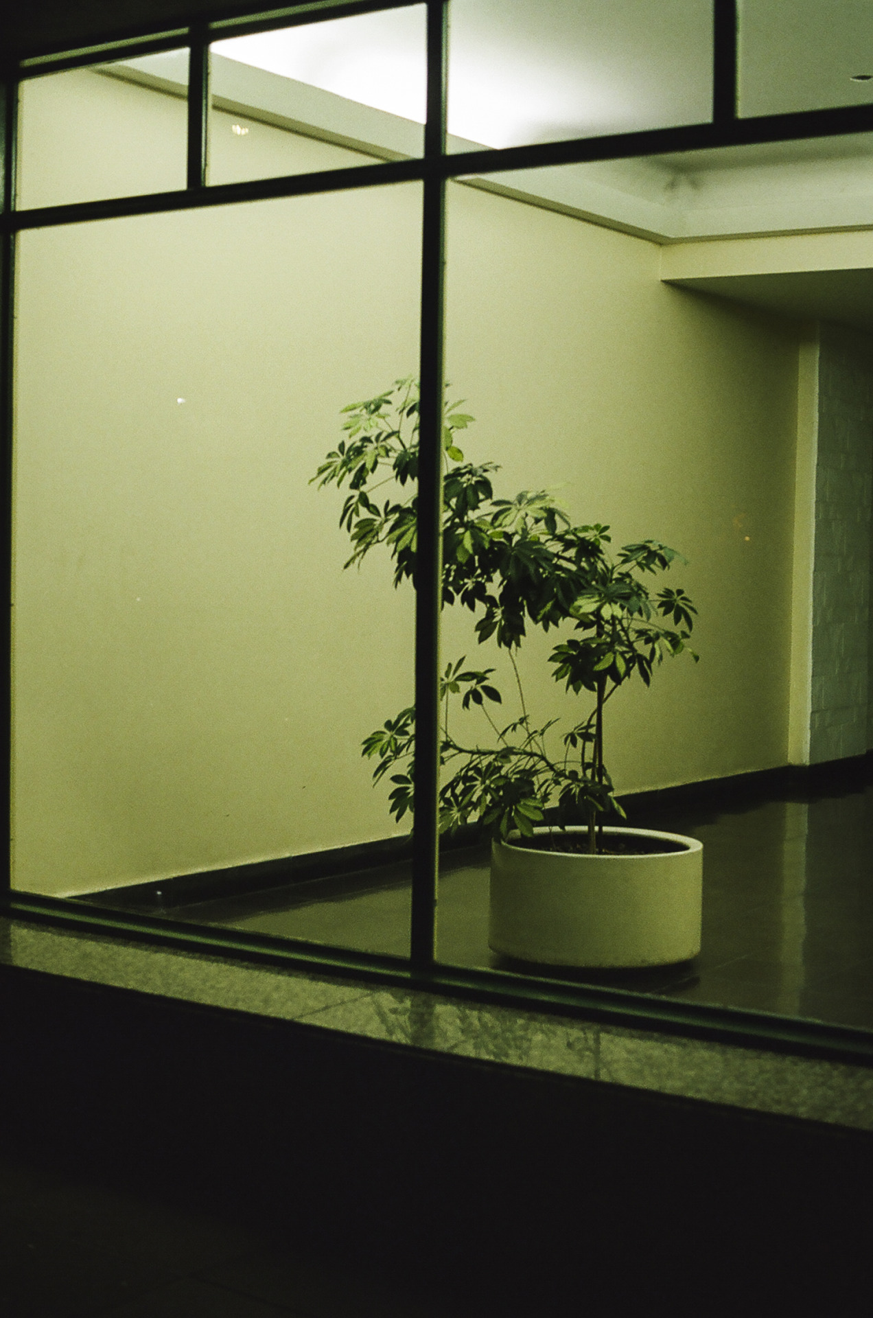 Archillect ID 397743