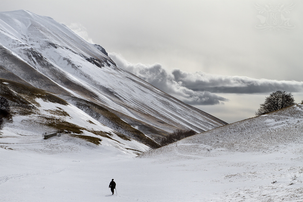 Archillect ID 397752