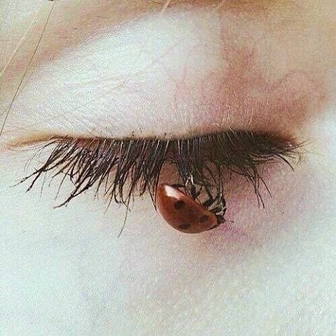 Archillect ID 397795