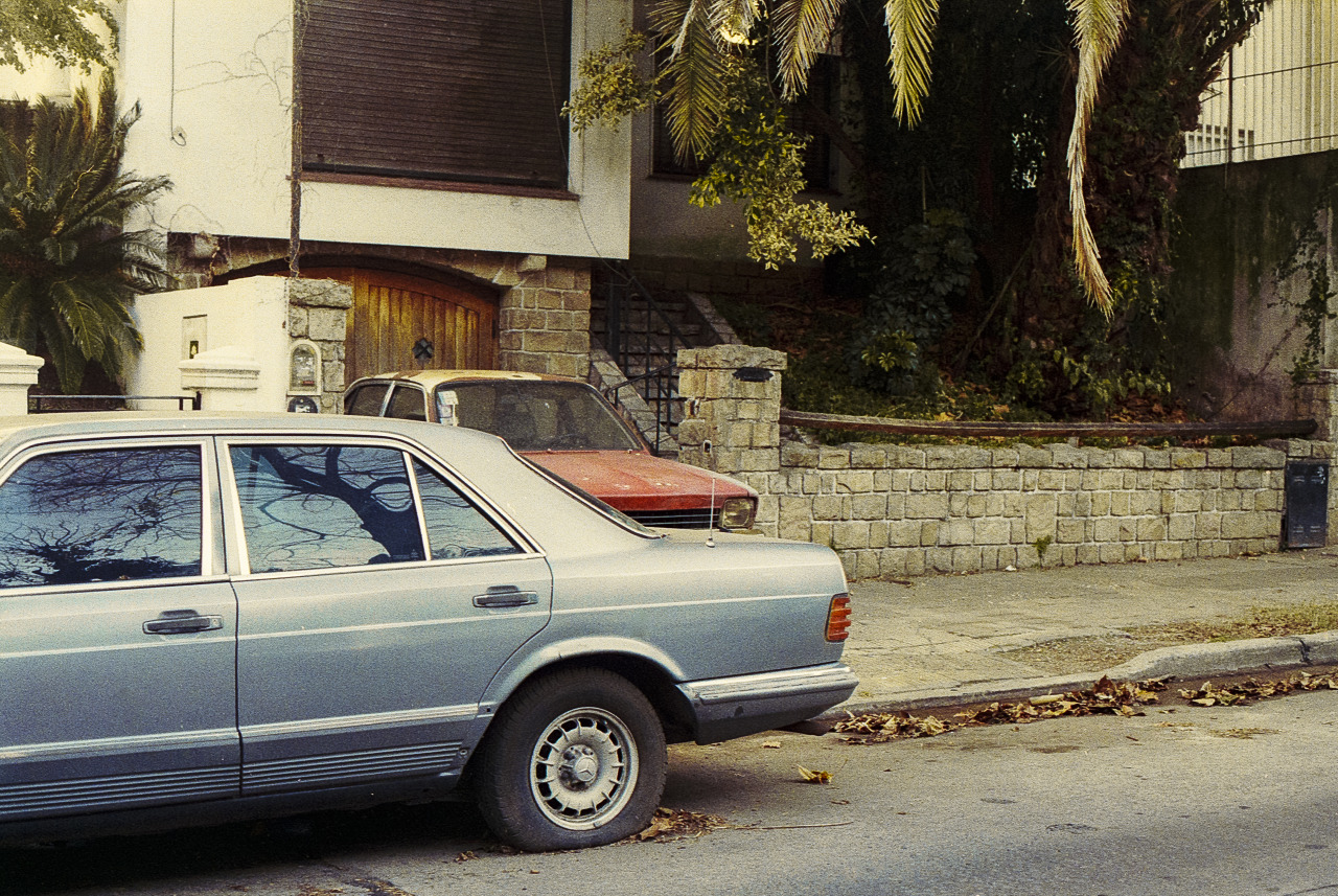 Archillect ID 397828