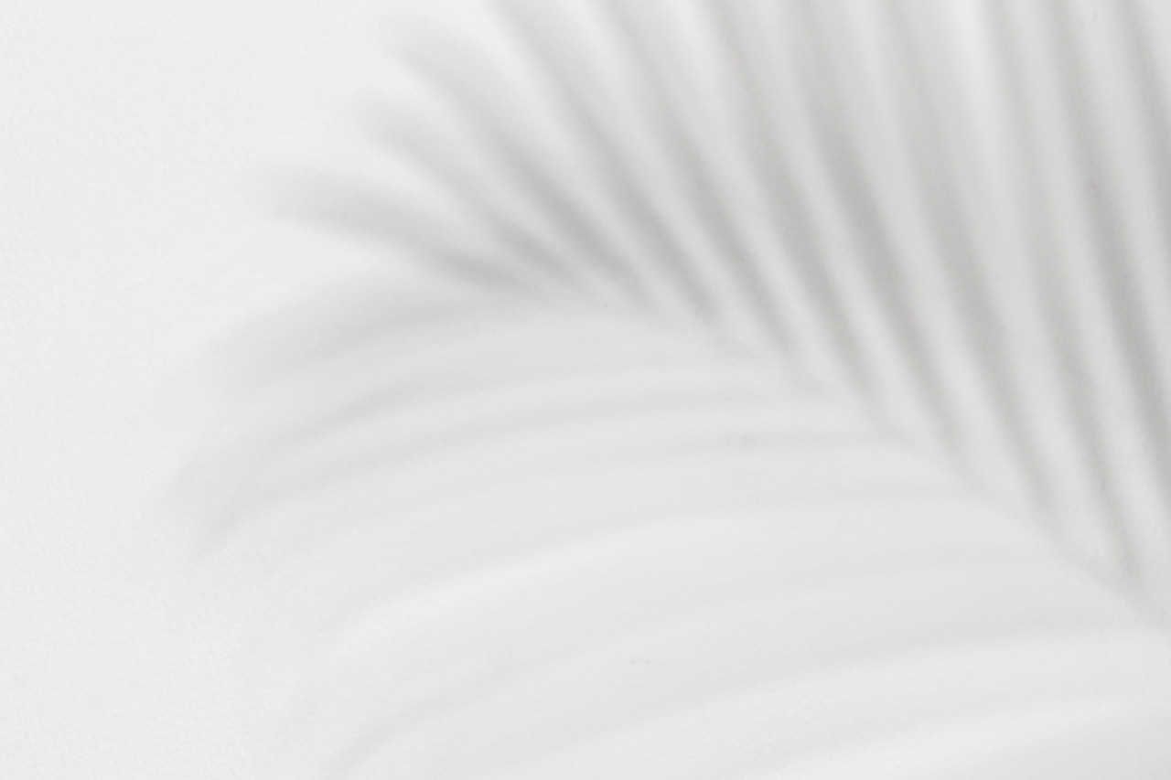 Archillect ID 397831