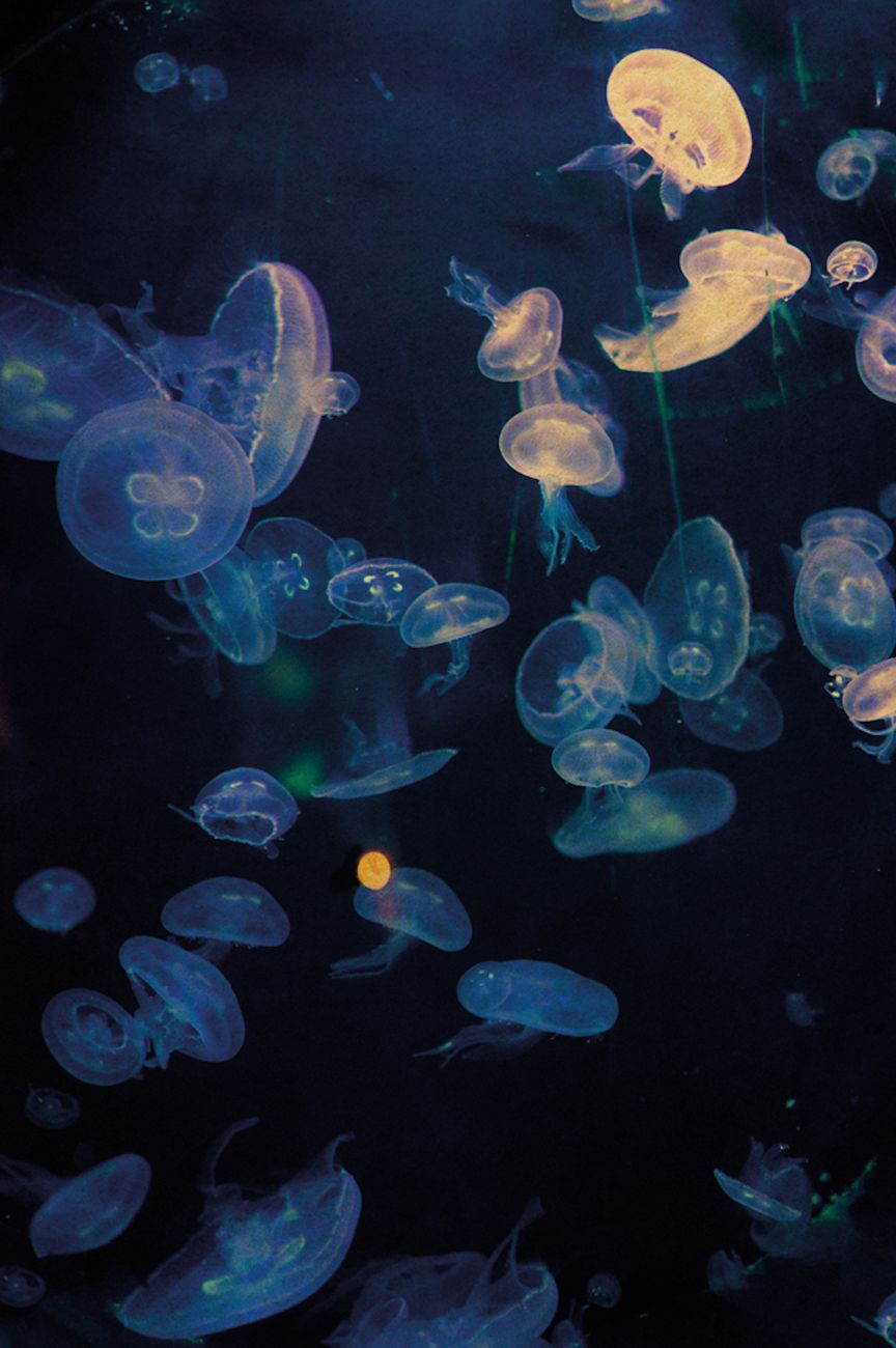 Archillect ID 397912