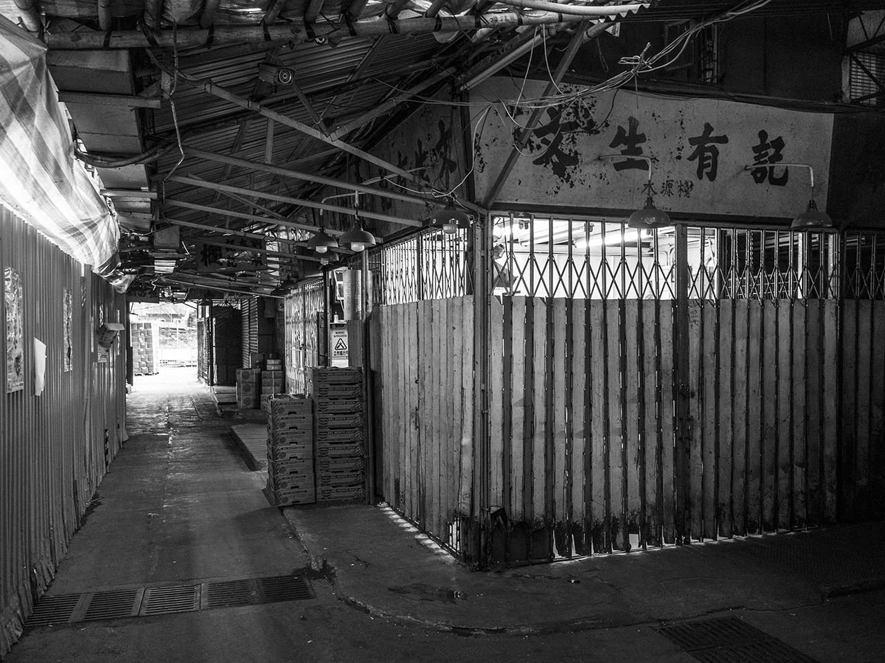 Archillect ID 397931