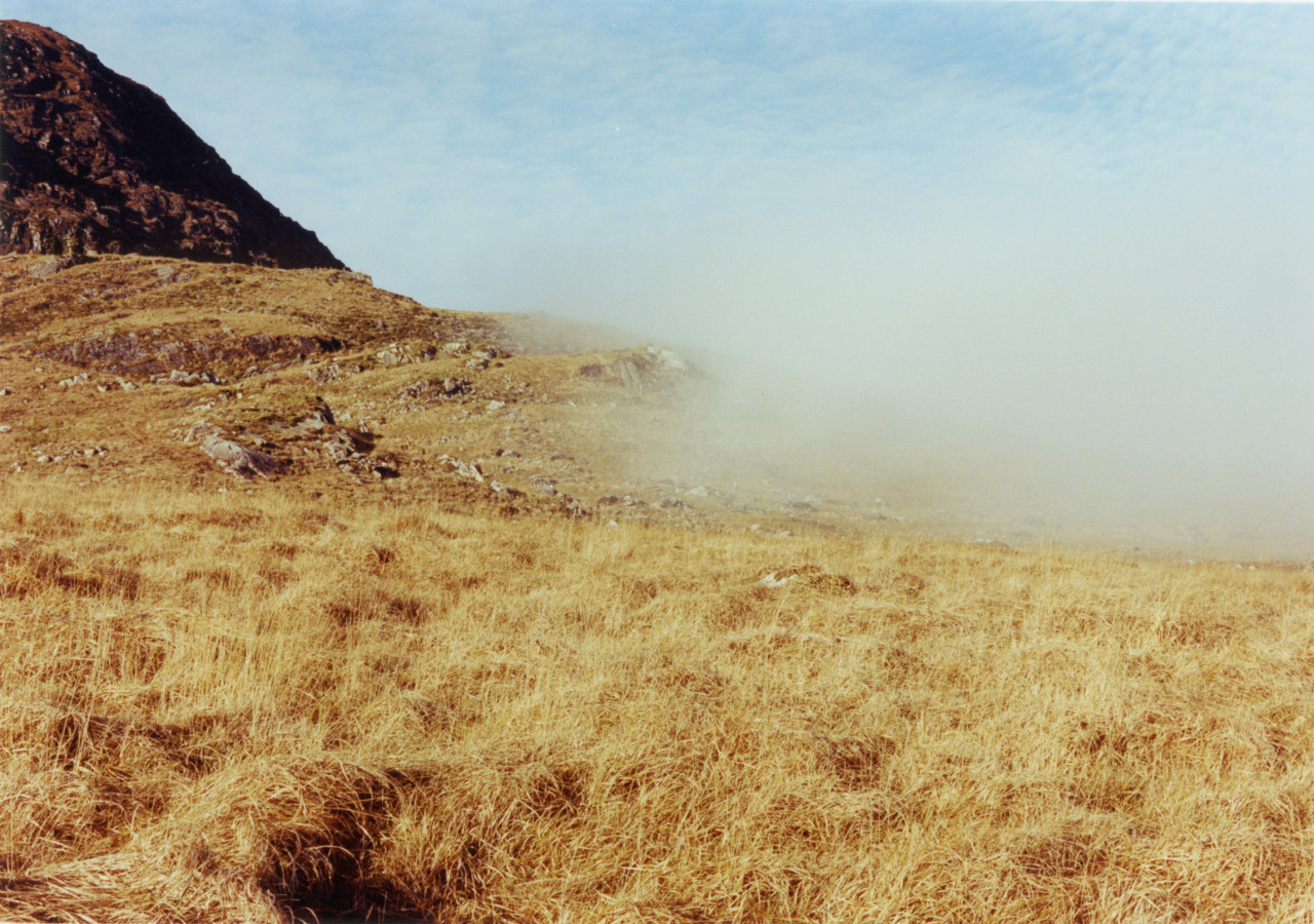 Archillect ID 397935