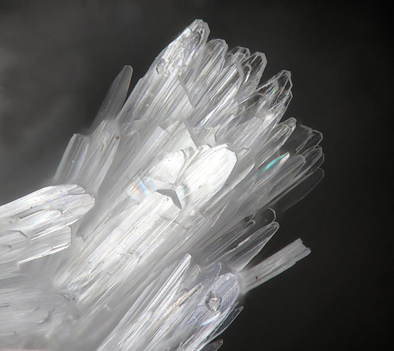 Archillect ID 397986