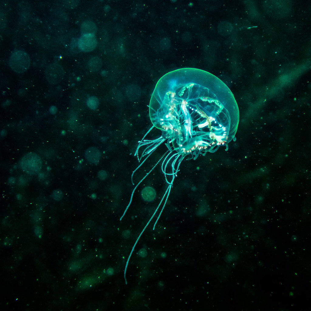 Archillect ID 398073