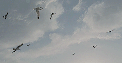 Archillect ID 398122