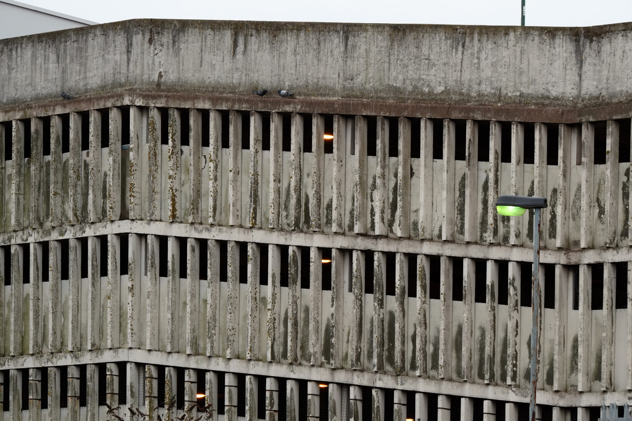 Archillect ID 398131