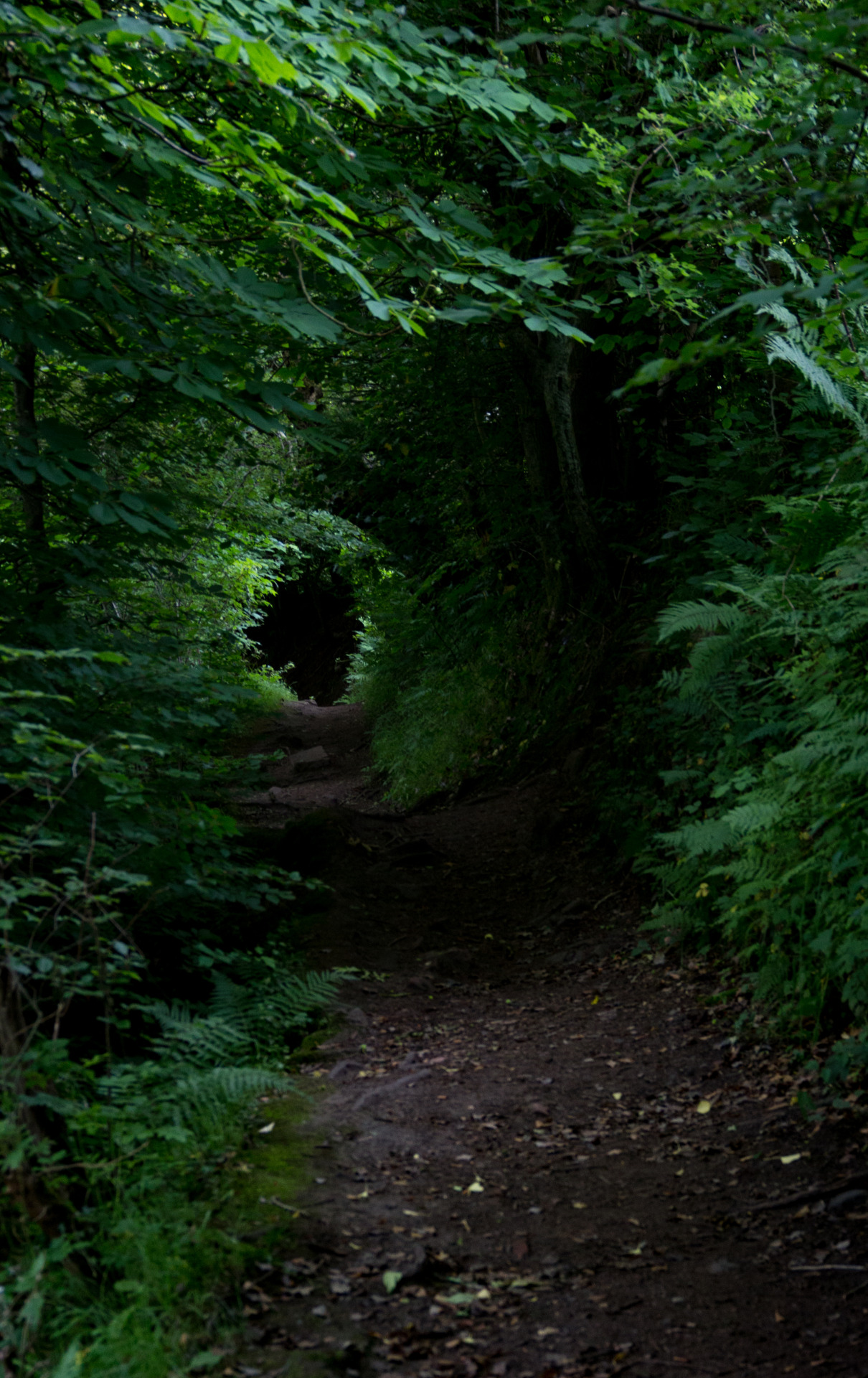 Archillect ID 398147