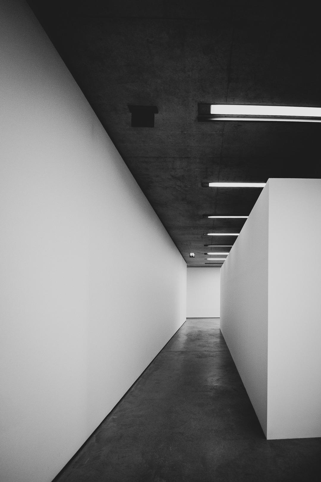 Archillect ID 398159